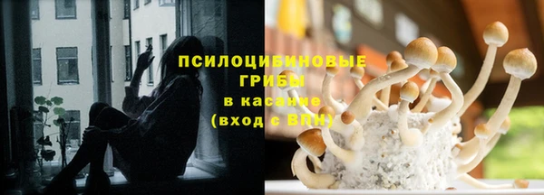 прущие крисы Абаза