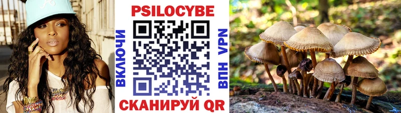 Псилоцибиновые грибы GOLDEN TEACHER  наркотики  Ржев 